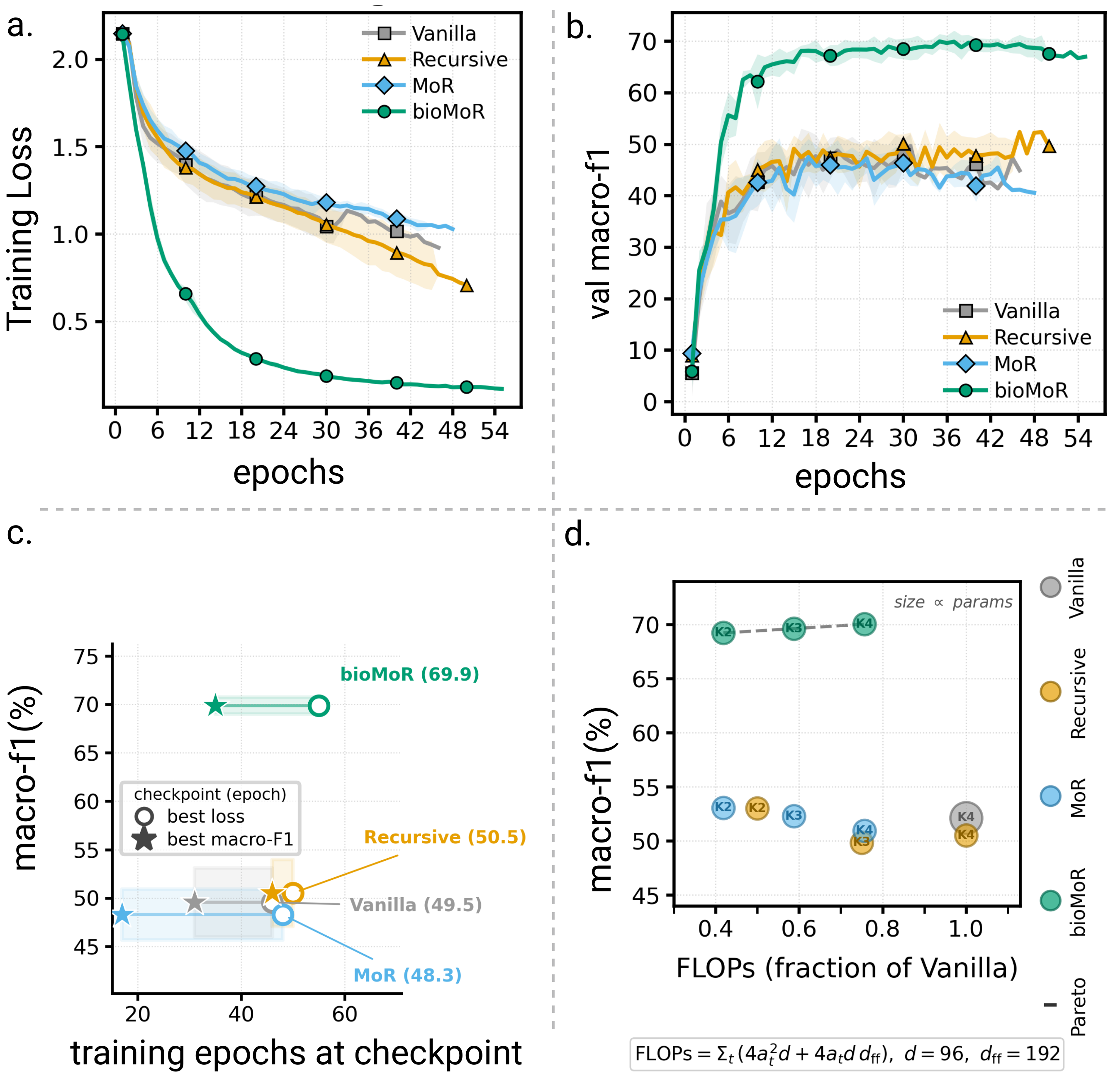 T-cell training curves, checkpoint-selected accuracy, and macro-F1 versus FLOPs